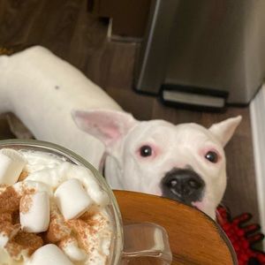 Meet your Posher, Bryan